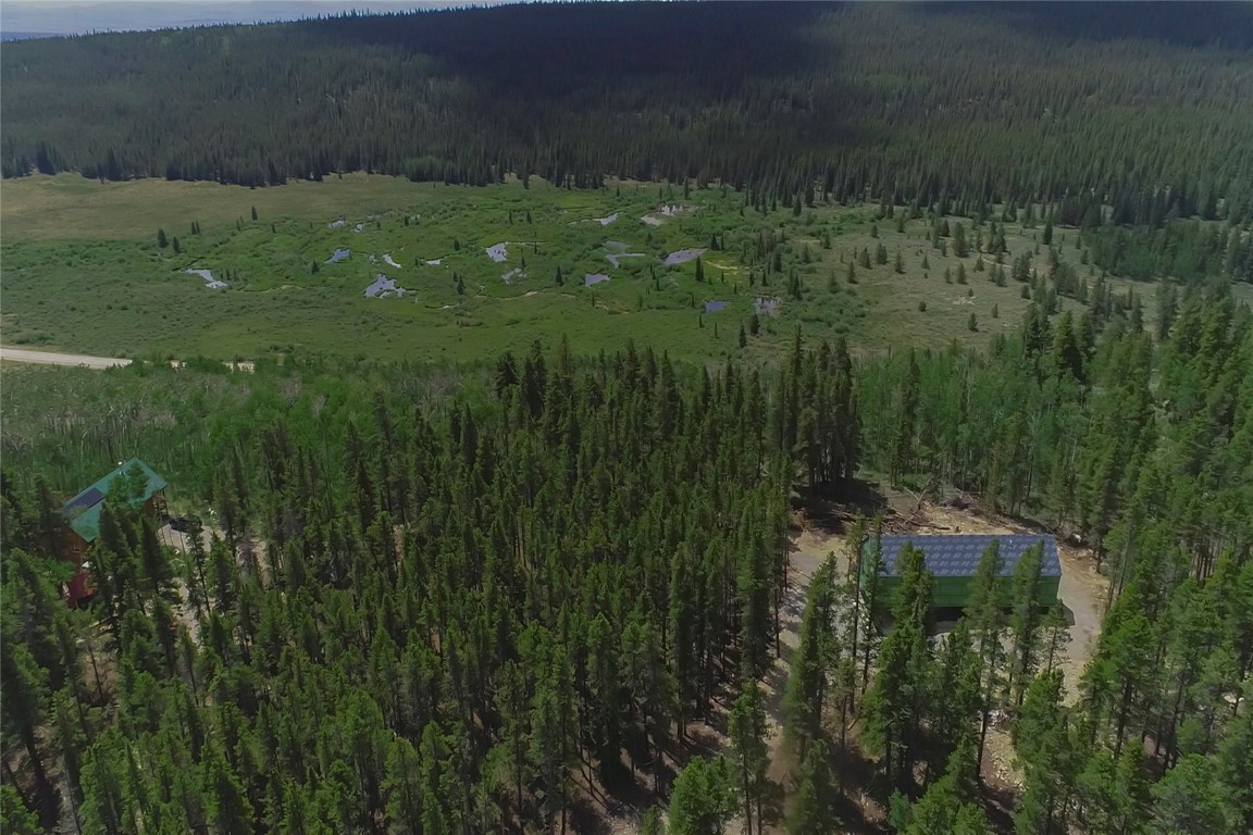 472 Vots Drive Fairplay, CO 80440 - Photo 36 of 40 a view of a lush green space
