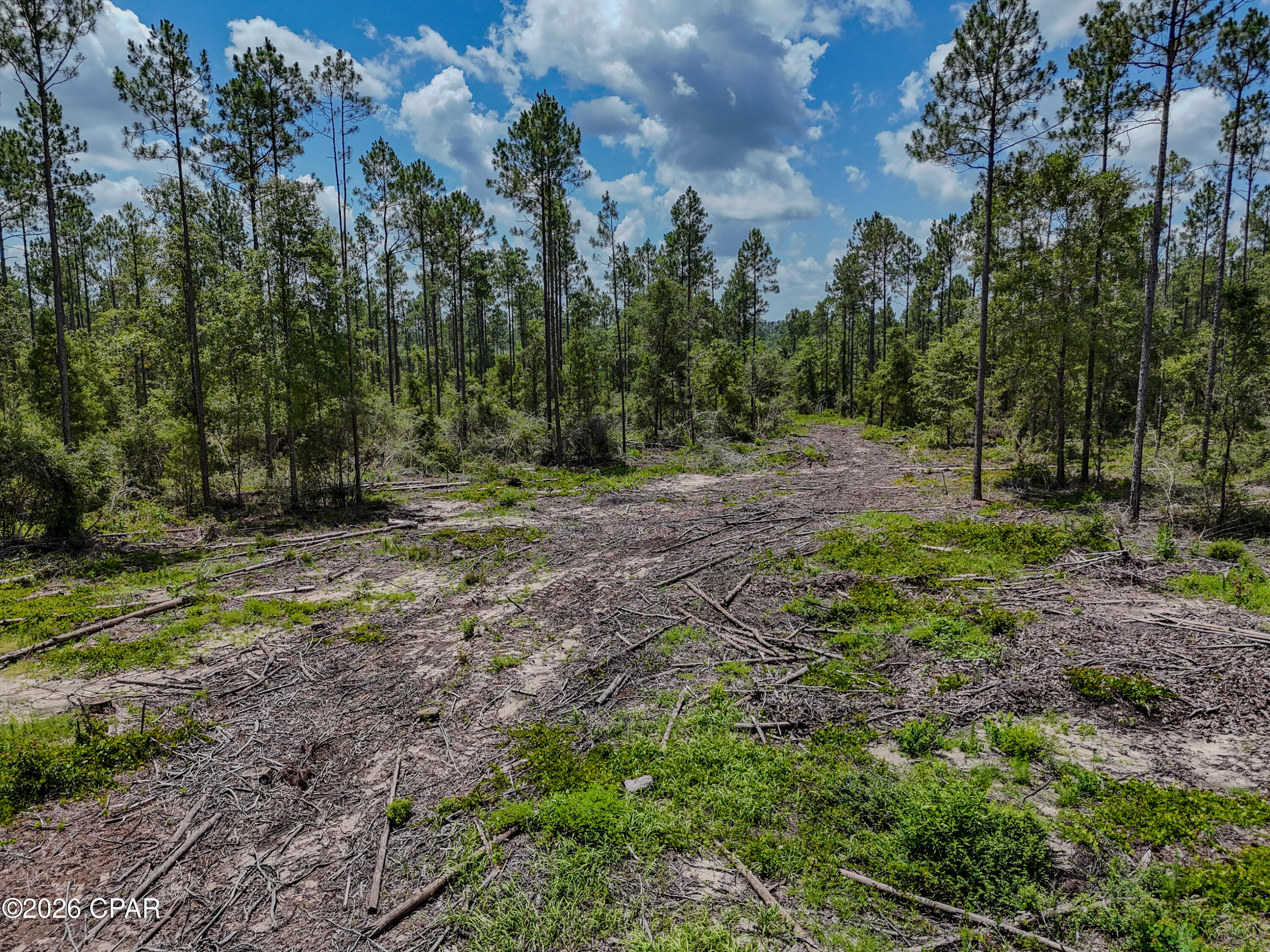 0 Wells Road Bonifay, FL 32425 - Photo 12 of 15