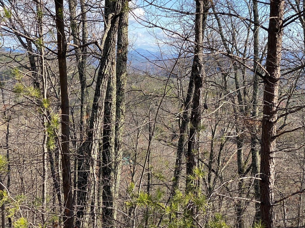 1829 Pinestand Rdg Way Sevierville, TN 37862 - Photo 4 of 7