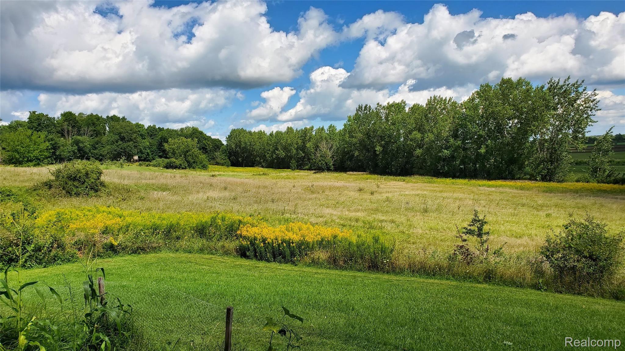 7065 Armstrong Road Imlay City, MI 48444 - Photo 32 of 35 a28.jpg