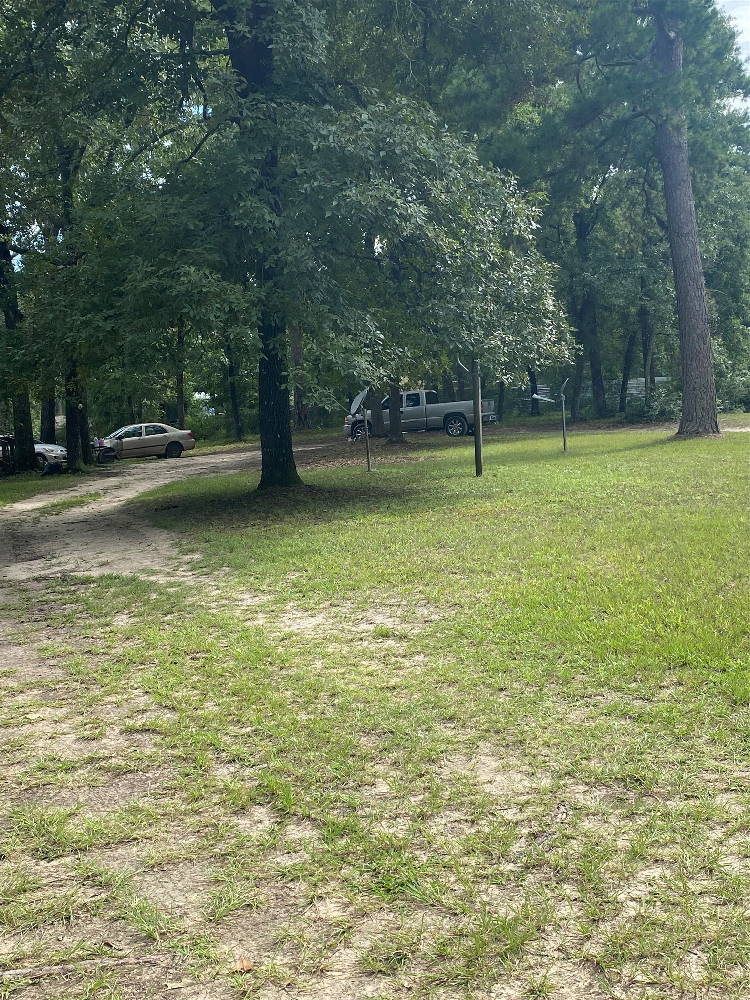 137 Camp Road Trinity, TX 75862 - Photo 11 of 12 a view of a yard with a trees