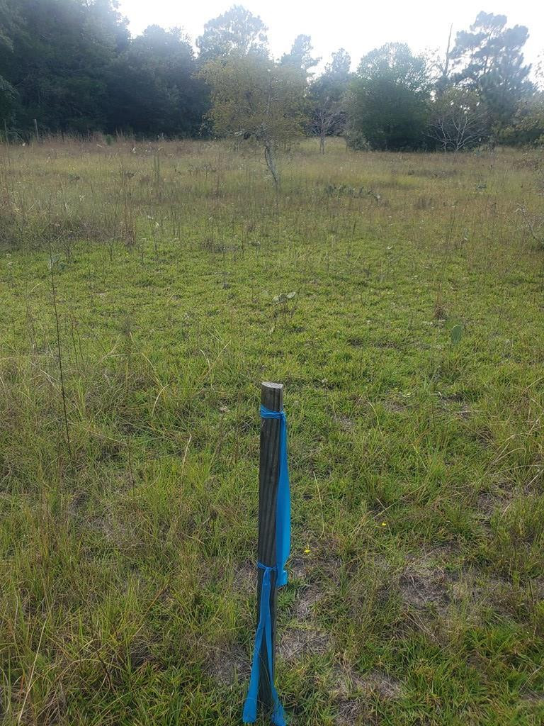 Lot B Piper Road Aiken, SC 29805 - Photo 2 of 12