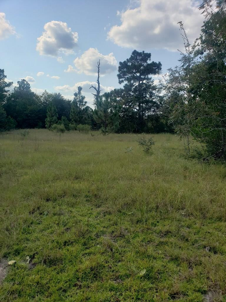 Lot B Piper Road Aiken, SC 29805 - Photo 7 of 12