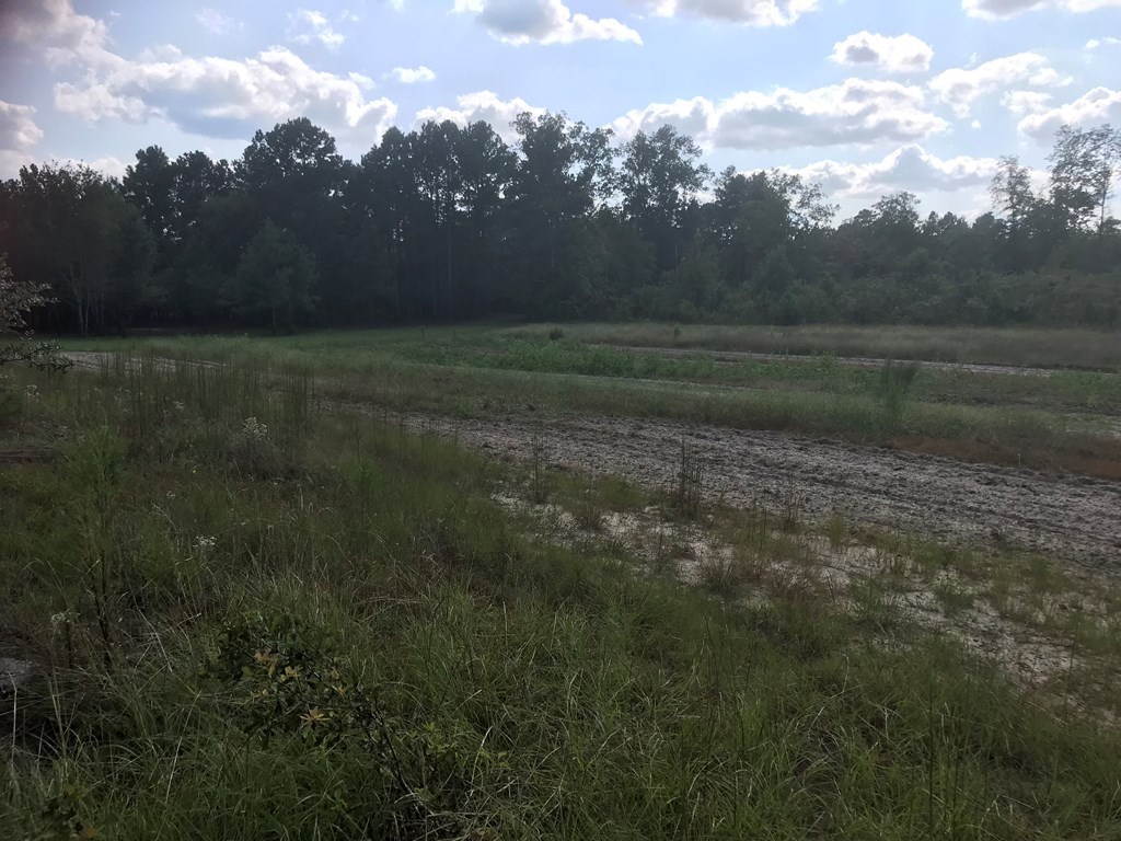 Lot B Piper Road Aiken, SC 29805 - Photo 8 of 12