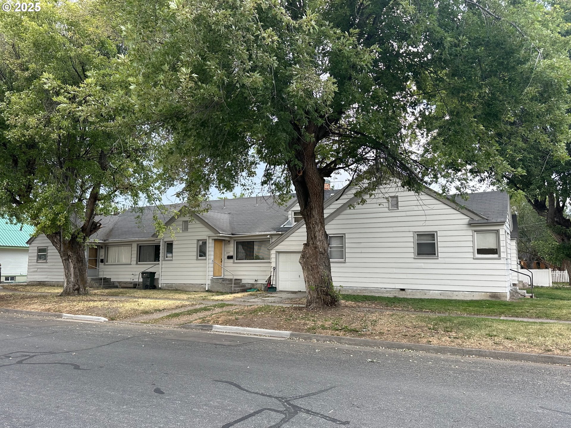 a house that has a tree in front of it