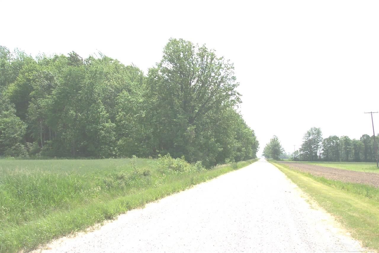 0 Kilgore Croswell, MI 48422 - Photo 6 of 9