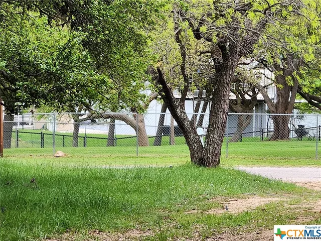 a view of a yard with large trees