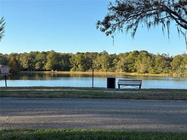 a view of a lake with a mountain in the background
