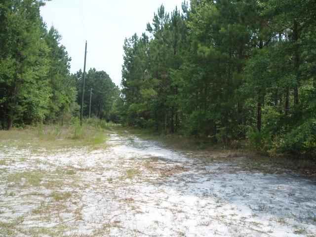 1766 Eagle Ridge Lane Loris, SC 29569 - Photo 8 of 9 Gallery Image 8