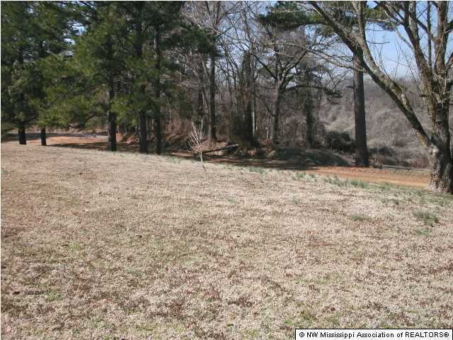 744 Bluff Road Coldwater, MS 38618 - Photo 12 of 12 Additional Photo