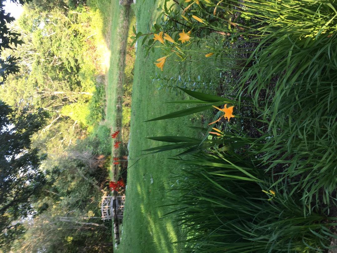 416 Lighthouse Road Aquinnah, MA 02535 - Photo 39 of 39 http://d1qzqeyxiitrap.cloudfront.net/photos/38426/448f07ae.jpg