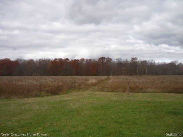 9570 Avoca Road Avoca, MI 48006 - Photo 10 of 35 P1220324.JPG
