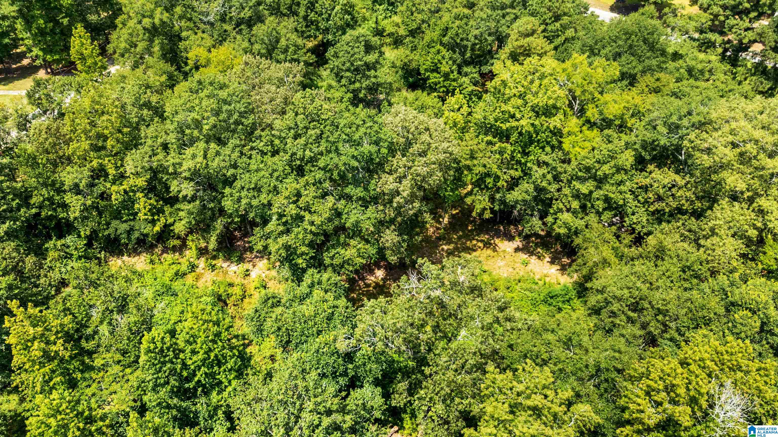 Lot 7 Hebb Road, Unit 7A Wilsonville, AL 35186 - Photo 10 of 29 Gallery Image 10