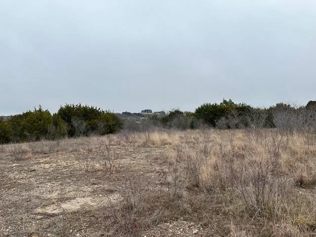 a view of a dry field with trees in the background