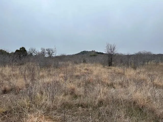 a view of a dry yard and mountain