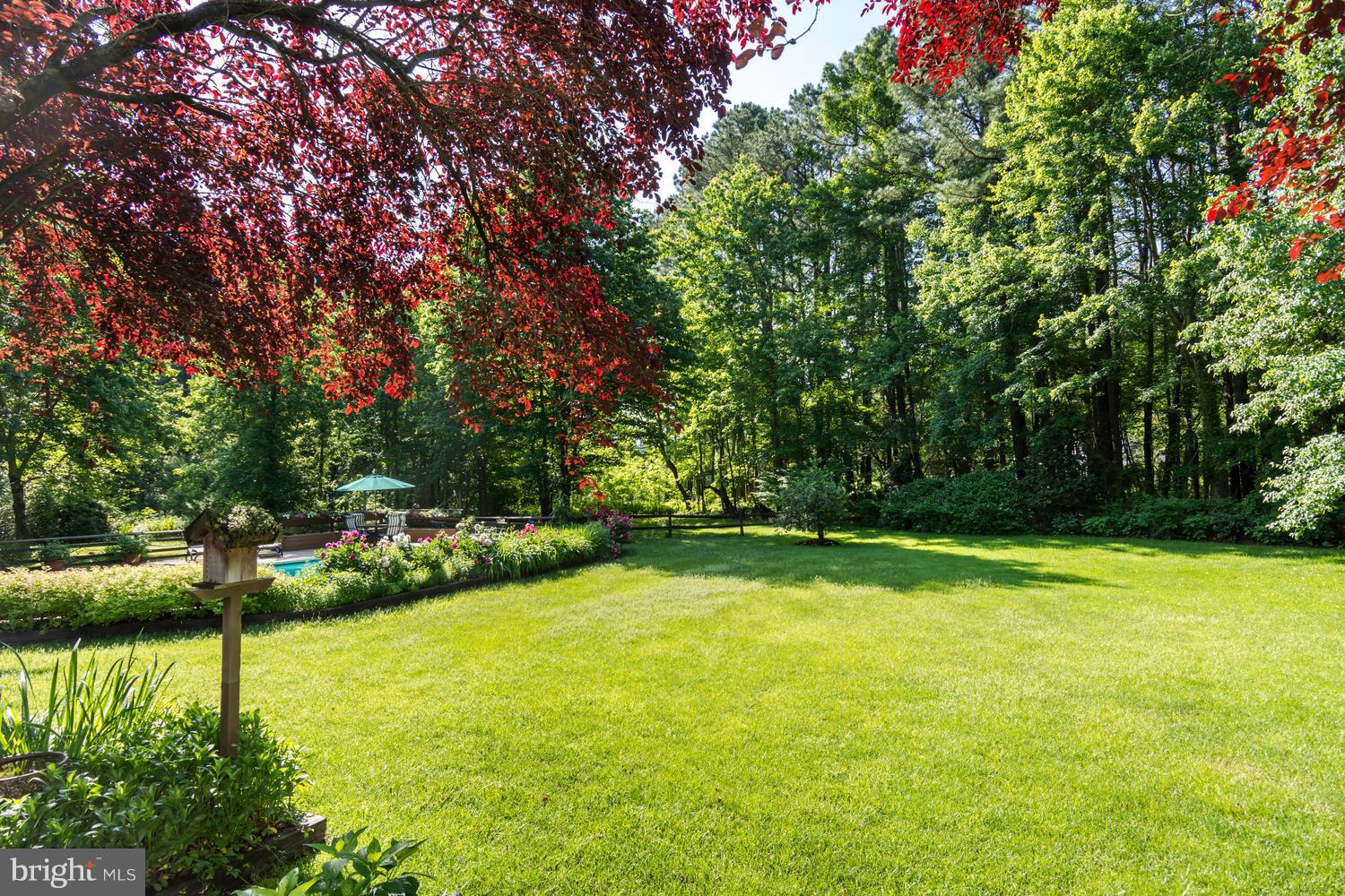 7301 Solitude Road St. Michaels, MD 21663 - Photo 6 of 30 a view of yard with swimming pool and green space