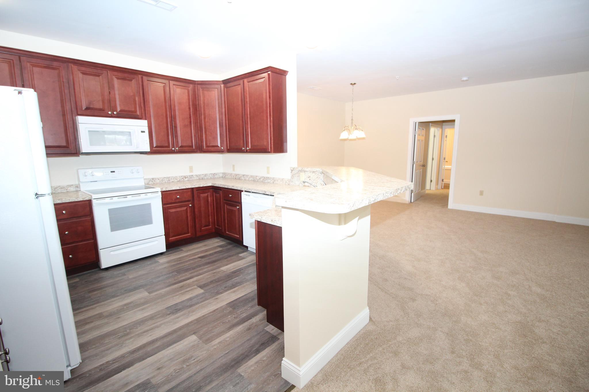 1665 Kenton Road, Unit 203 Dover, DE 19904 - Photo 4 of 26