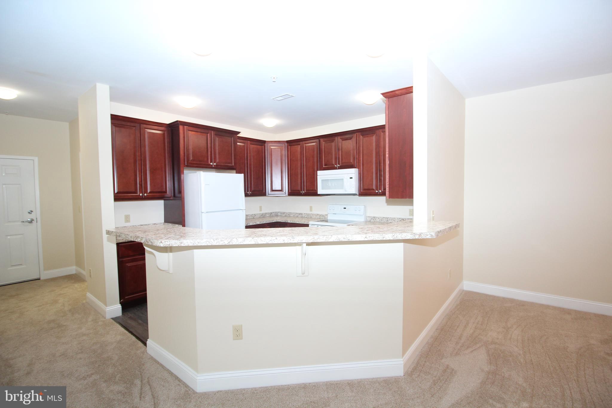 1665 Kenton Road, Unit 203 Dover, DE 19904 - Photo 6 of 26