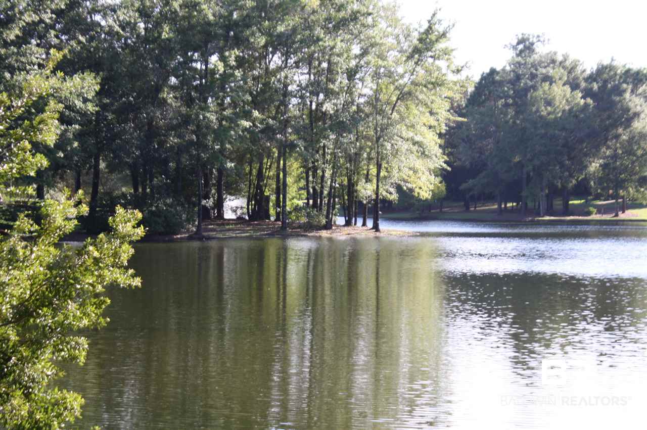 43 Shady Lane Hope Hull, AL 36043 - Photo 10 of 19