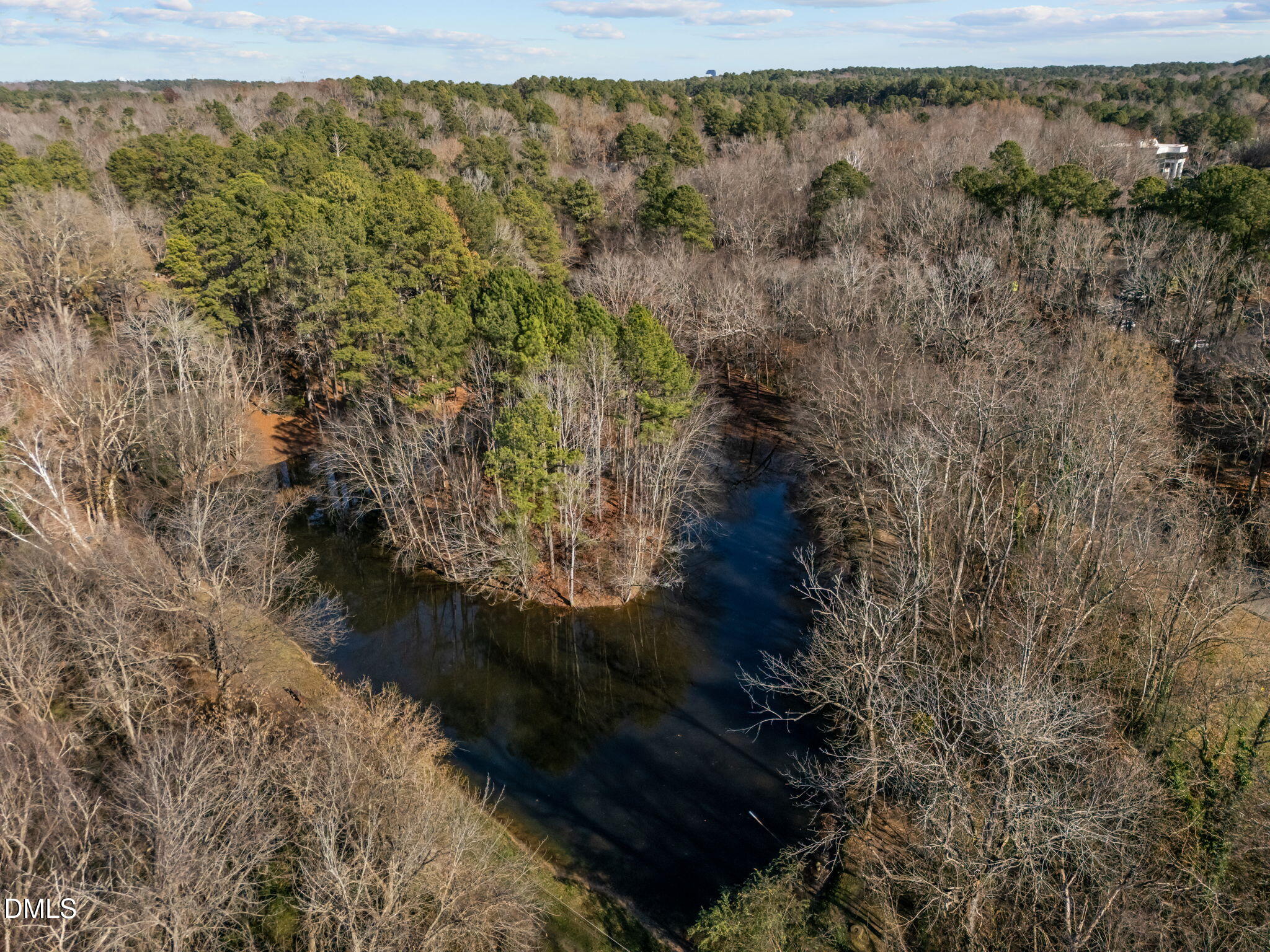3080 Colony Road, Unit 3080C Durham, NC 27705 - Photo 51 of 57 a view of a forest with a lake