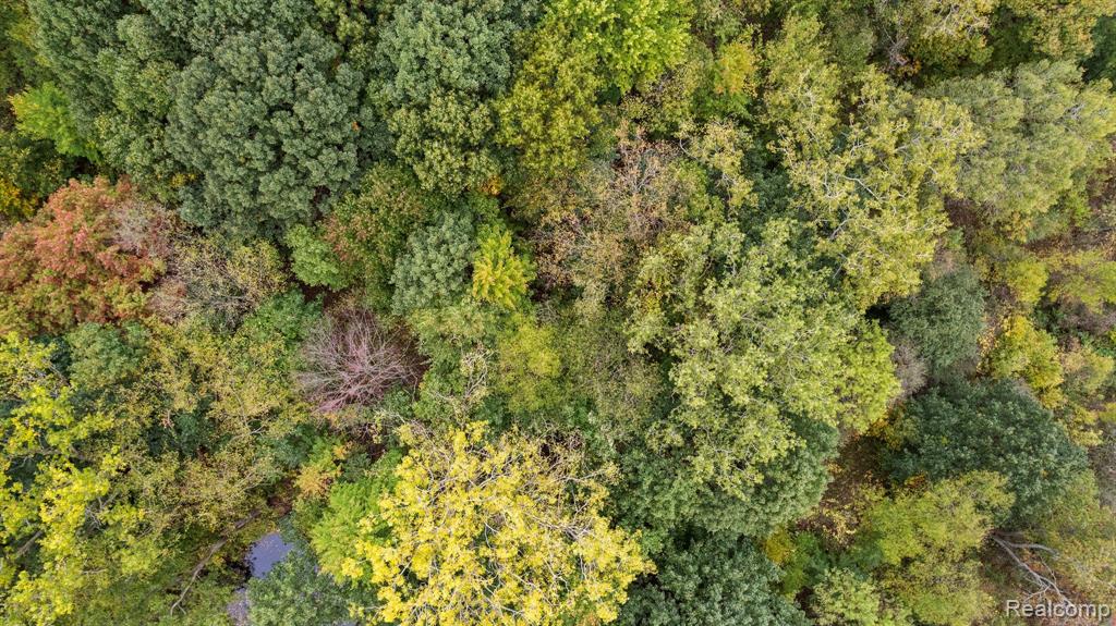 0 East Marr Road Howell, MI 48855 - Photo 7 of 7