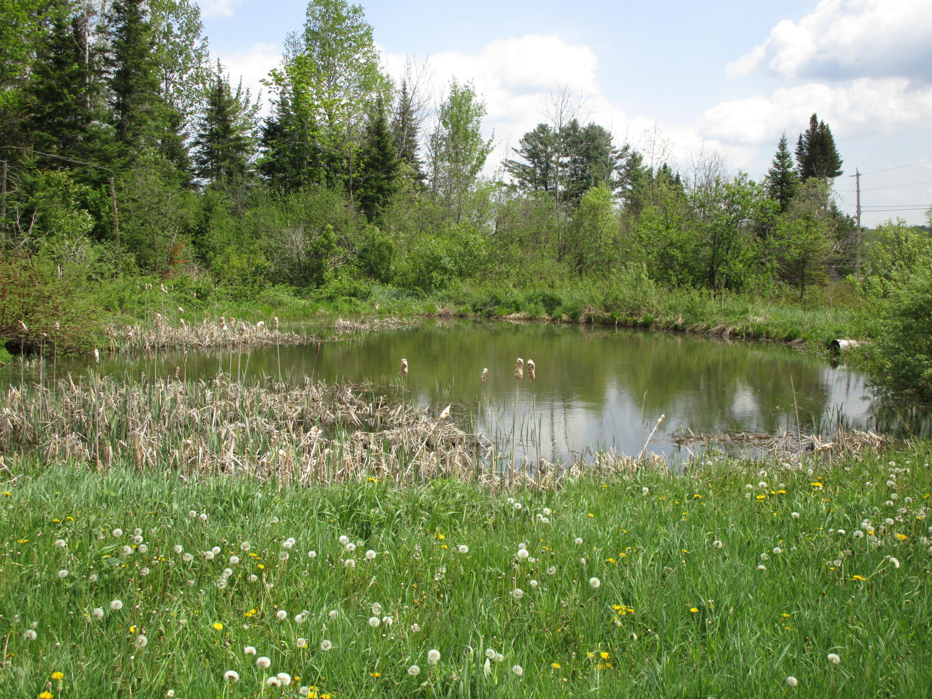 2913 State Road Mapleton, ME 04757 - Photo 2 of 28 IMG_5434