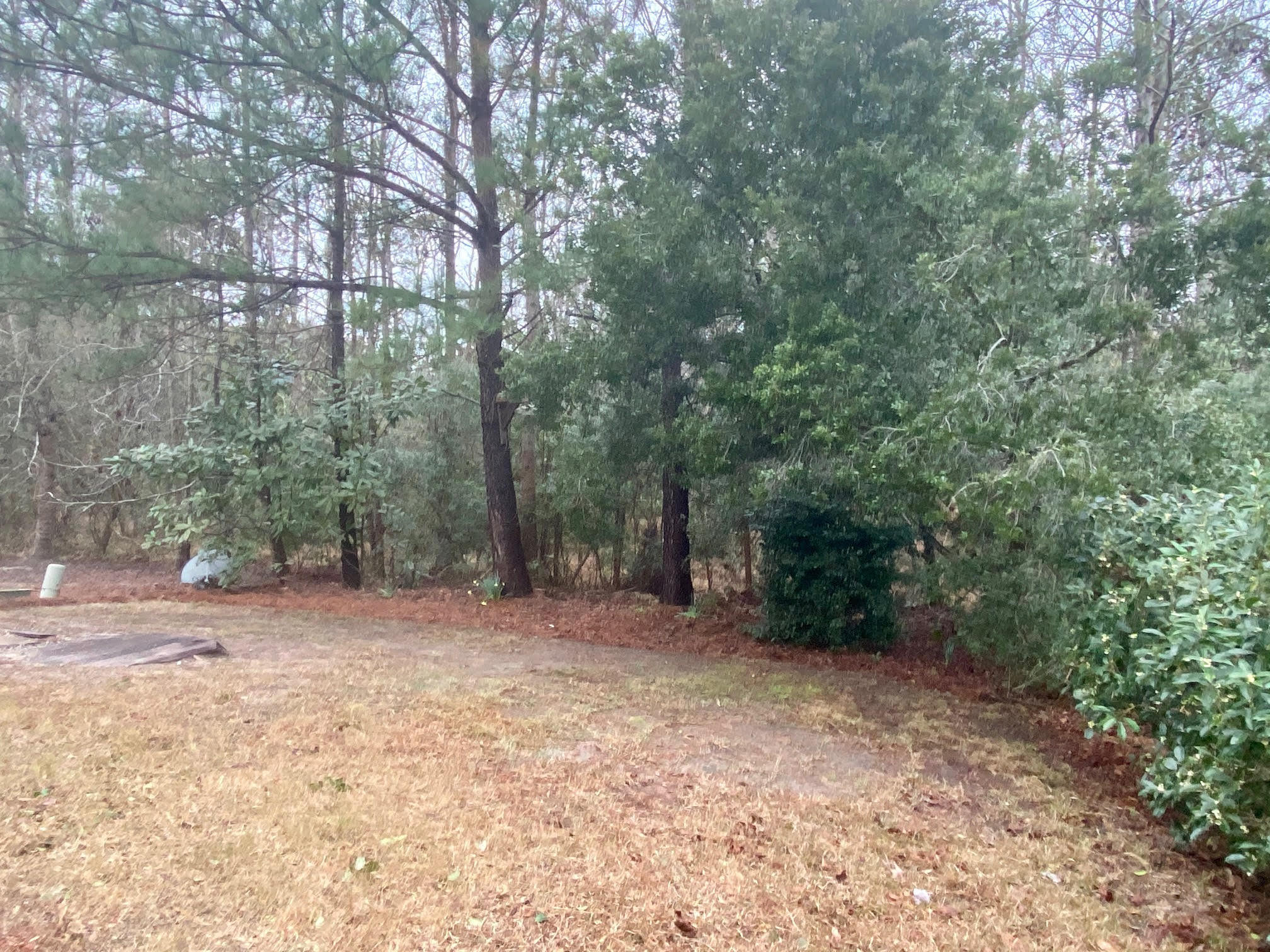 1525 Royal Colony Road Johns Island, SC 29455 - Photo 5 of 25 unnamed (8)