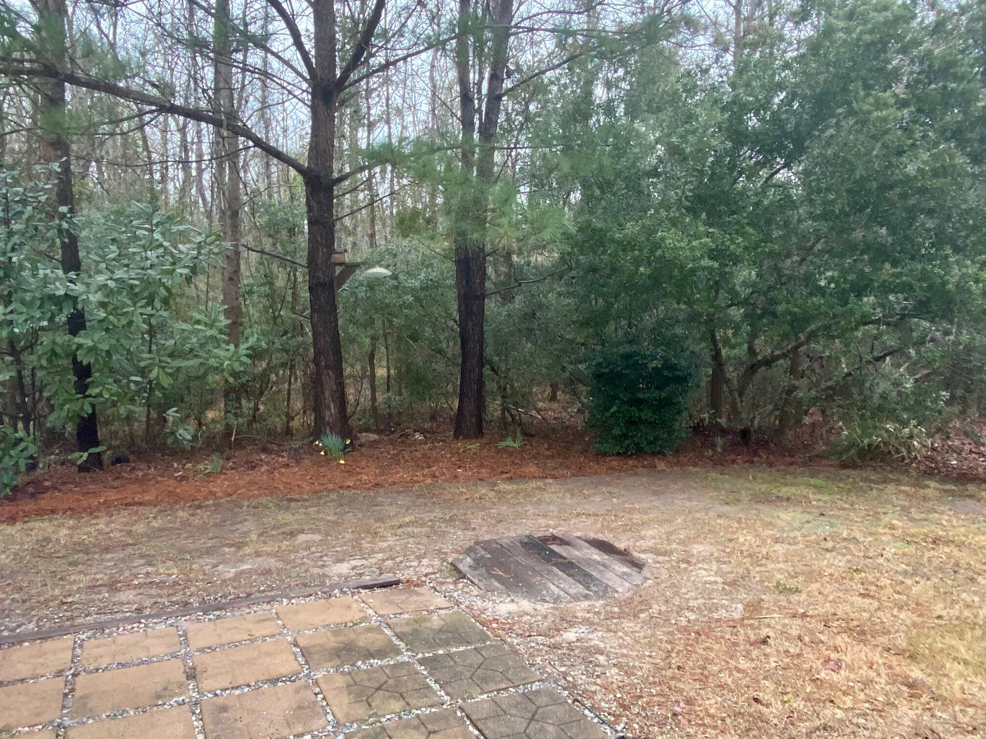 1525 Royal Colony Road Johns Island, SC 29455 - Photo 6 of 25 unnamed (9)