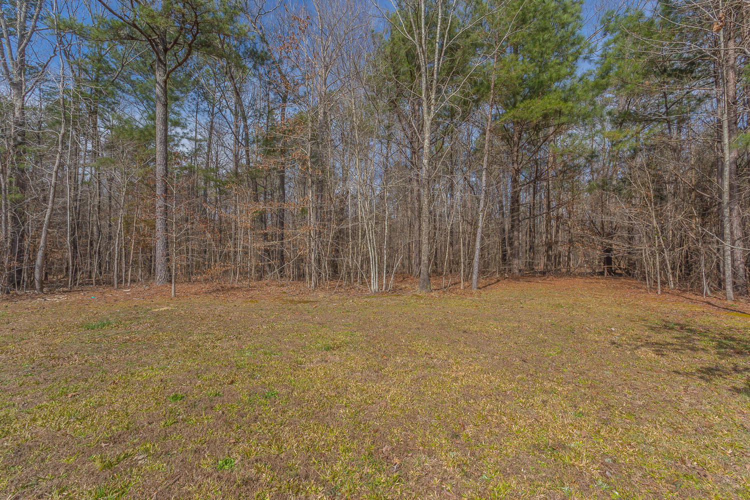 5461 Frederick Road Cohutta, GA 30710 - Photo 6 of 25 5461 Frederick HD_-32