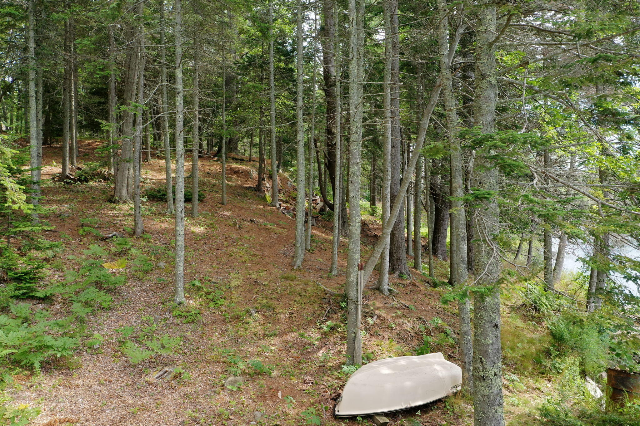 28 Beaver Run Way Boothbay, ME 04537 - Photo 60 of 90 Walkway to Water