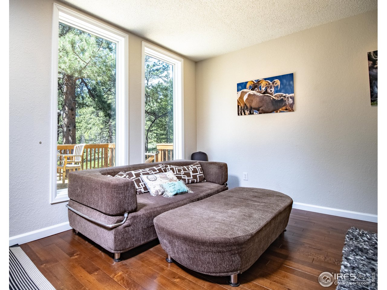 418 Ridge Road Ward, CO 80481 - Photo 17 of 36 a living room with furniture and a window