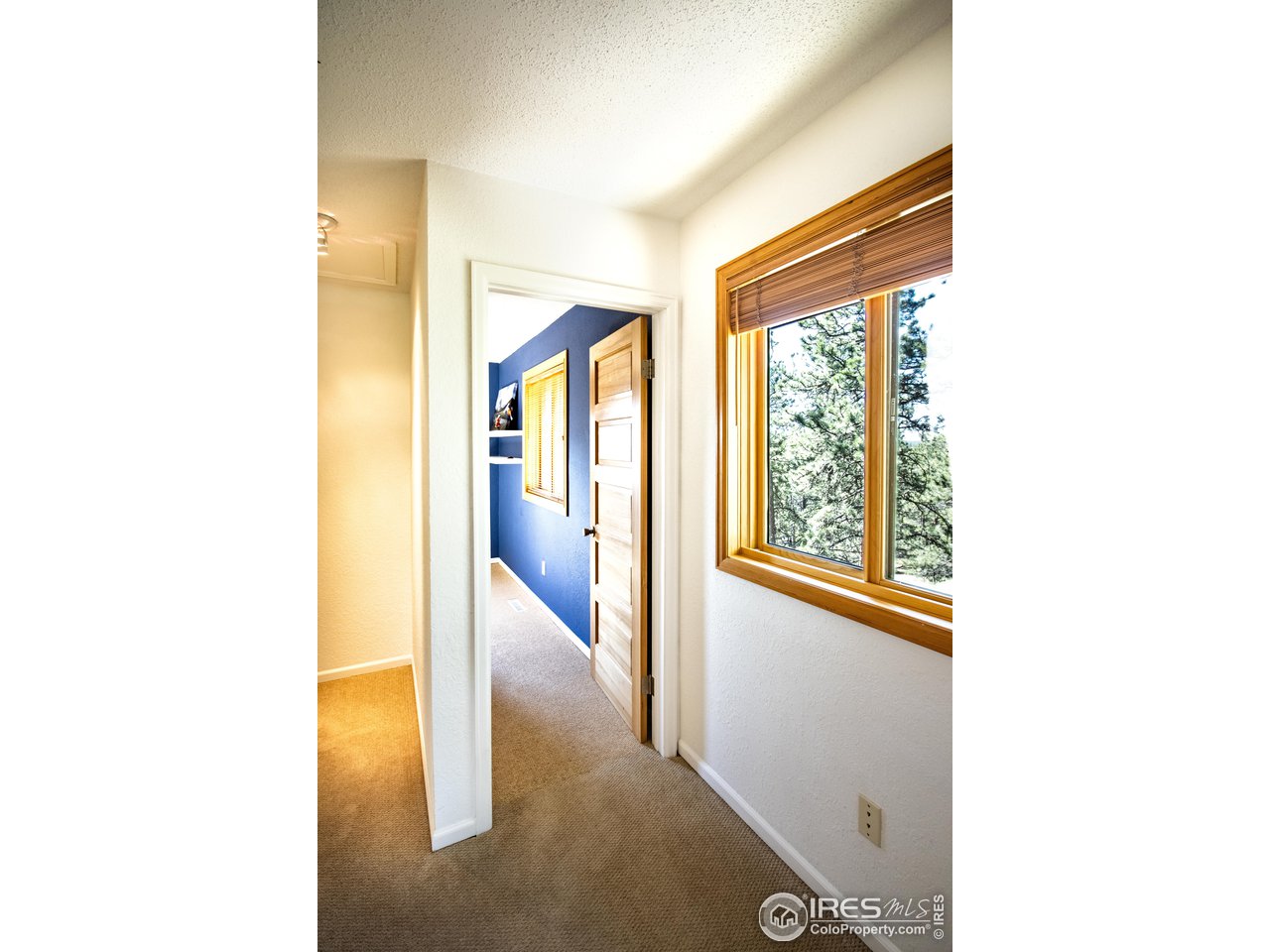 418 Ridge Road Ward, CO 80481 - Photo 23 of 36 a picture of a living room with a large window