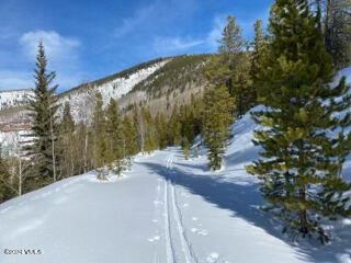 Cross-County ski trails