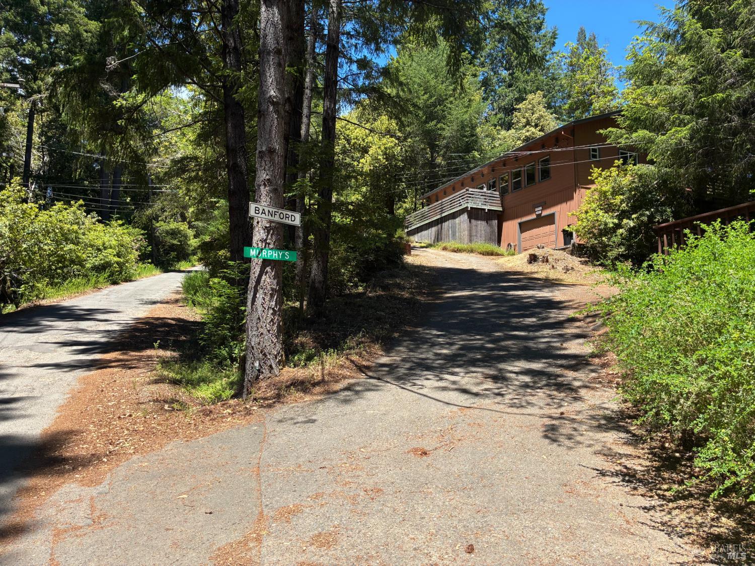 30 Sunrise Mountain Road Cazadero, CA 95421 - Photo 3 of 12 a view of a yard with plants and trees