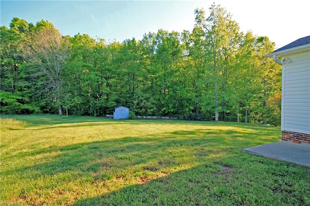 1155 Capella Ridge Road King, NC 27021 - Photo 9 of 21 Backyard