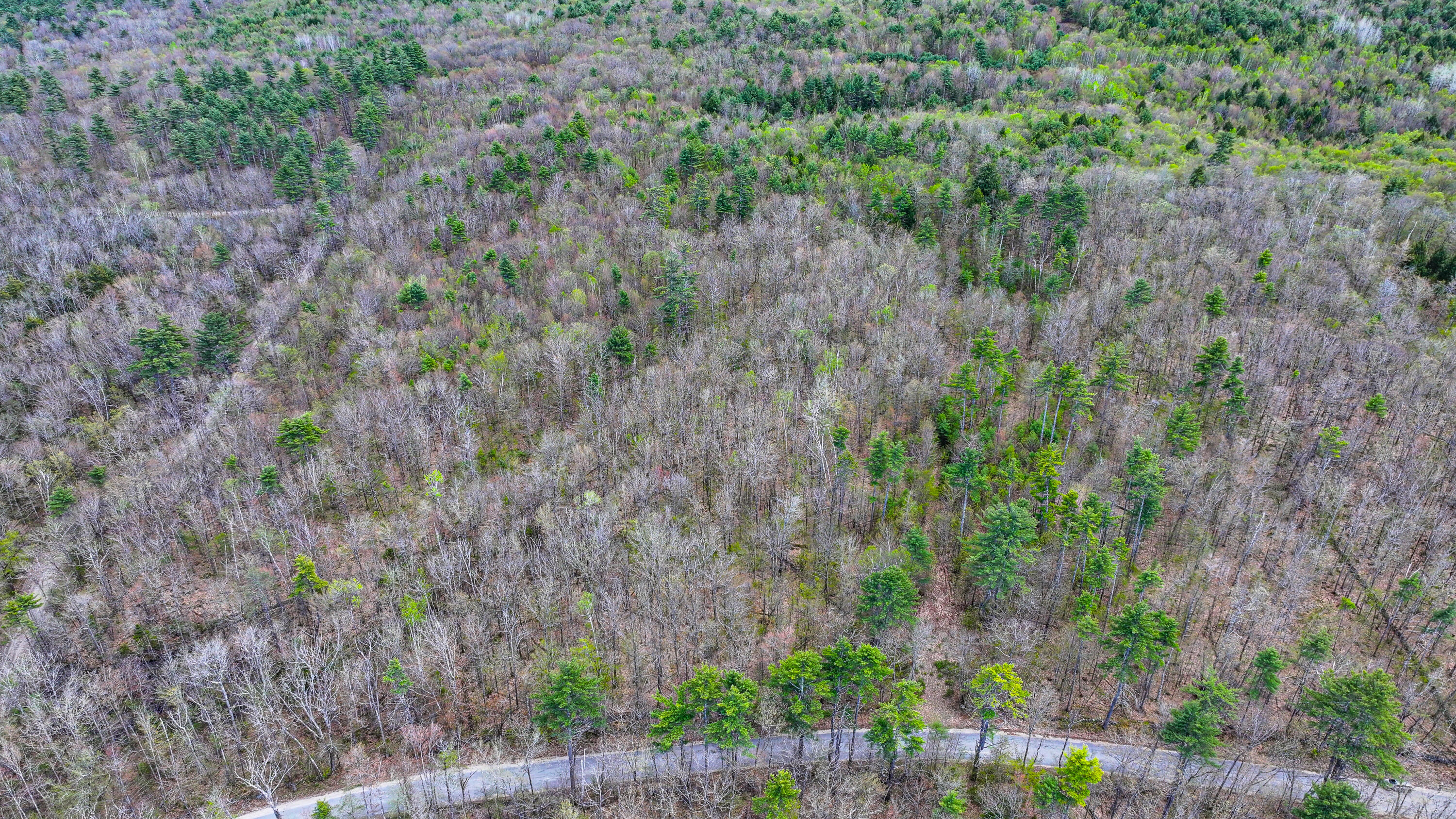 R8-32 Old Waterford Road Lovell, ME 04051 - Photo 19 of 21 waterboro road lovell-30
