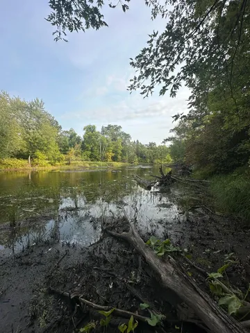 $65,000 | 28350 Moose Horn Lane, Sturgeon Lake, MN 55783