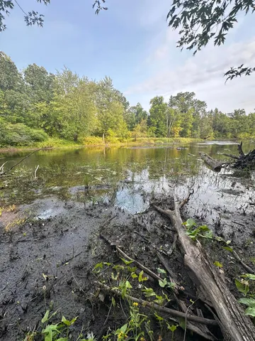 $65,000 | 28350 Moose Horn Lane, Sturgeon Lake, MN 55783