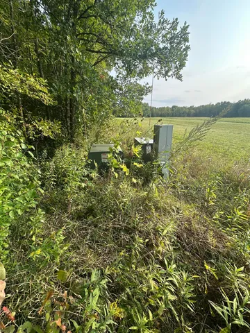 $65,000 | 28350 Moose Horn Lane, Sturgeon Lake, MN 55783