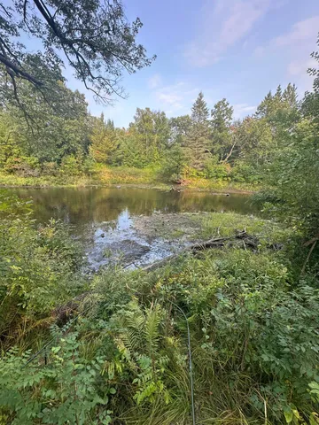 $65,000 | 28350 Moose Horn Lane, Sturgeon Lake, MN 55783