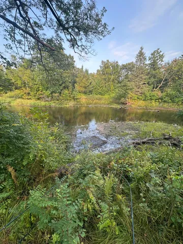 $65,000 | 28350 Moose Horn Lane, Sturgeon Lake, MN 55783