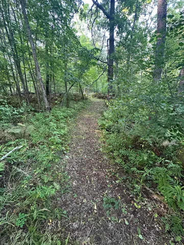 $65,000 | 28350 Moose Horn Lane, Sturgeon Lake, MN 55783