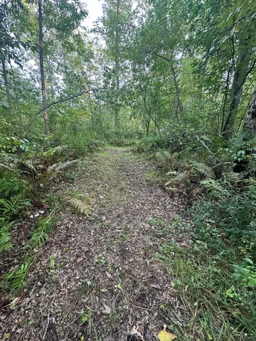 $65,000 | 28350 Moose Horn Lane, Sturgeon Lake, MN 55783