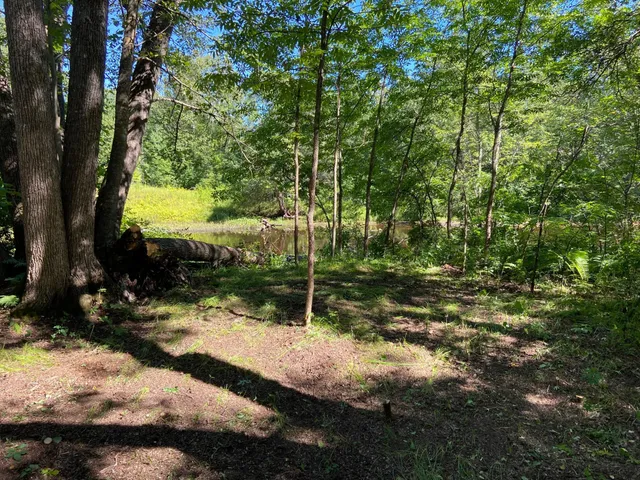 $65,000 | 28350 Moose Horn Lane, Sturgeon Lake, MN 55783