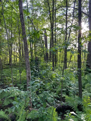 $65,000 | 28350 Moose Horn Lane, Sturgeon Lake, MN 55783