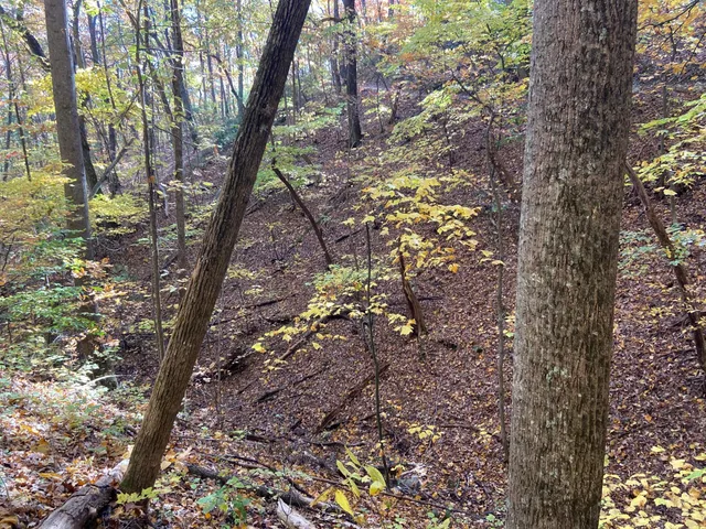 $65,000 | 28350 Moose Horn Lane, Sturgeon Lake, MN 55783