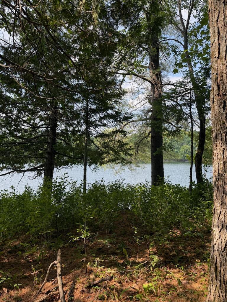 59 Mcdonald Road Parkman, ME 04443 - Photo 14 of 44 IMG950901