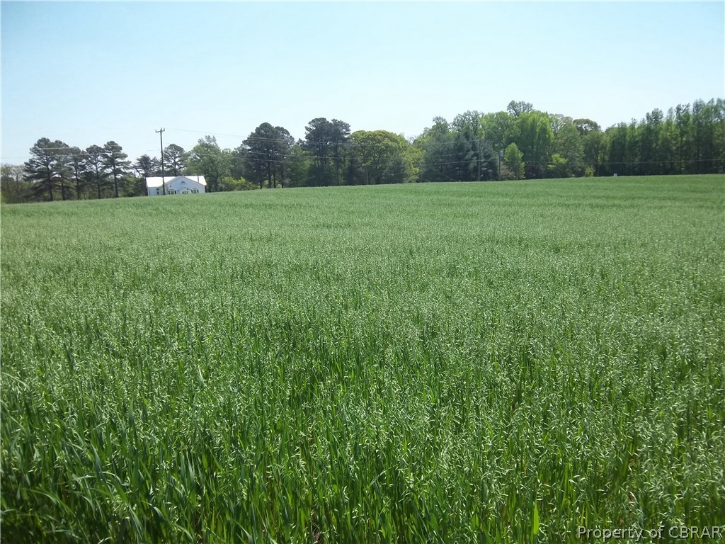 1611 Regent Road Topping, VA 23169 - Photo 26 of 29 fields