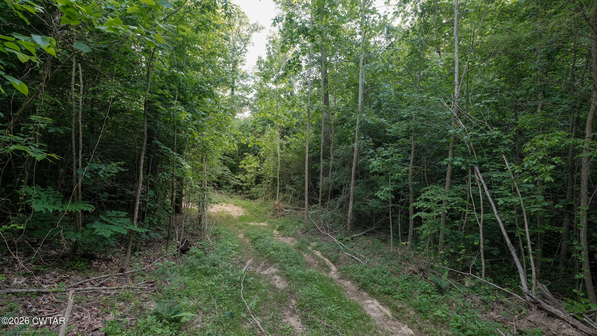 382 Mcadams Road Greenfield, TN 38230 - Photo 17 of 26 McAdams-9_(2048)