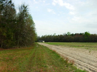 0 Jerro Road Manning, SC 29102 - Photo 1 of 1
